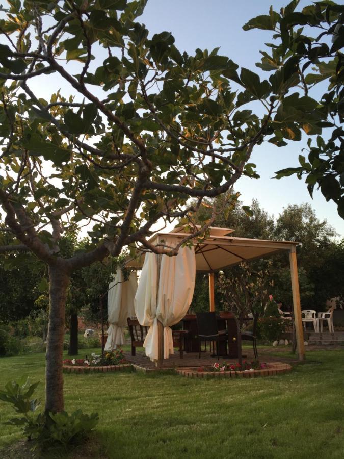 B&B Villa Magna Grecia Lazzaro Exterior photo