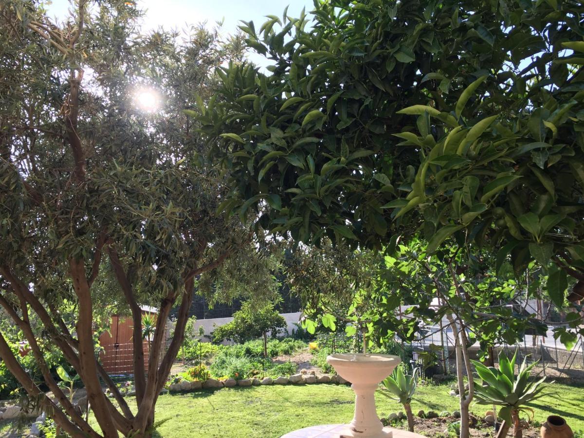 B&B Villa Magna Grecia Lazzaro Exterior photo